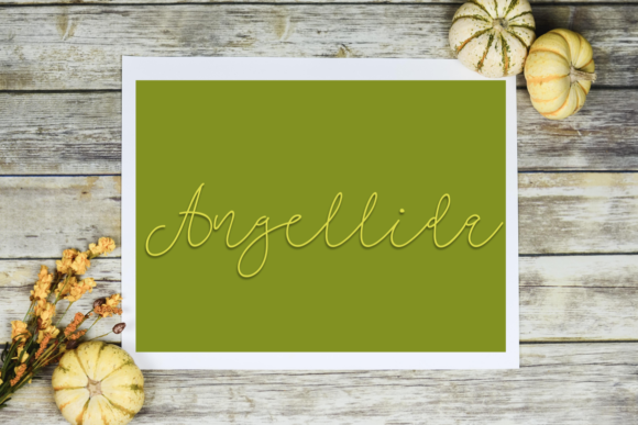 Angellida Typeface: A Bold Script for Sweet Branding
