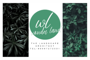 Black Label Font: A Designer’s Take