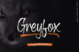 Greyfox: A Script Font for Editorial Design