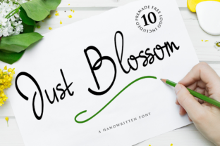 Just Blossom Typeface: A Designer’s Review