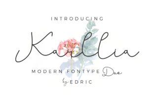 Karllia Typeface: Modern Elegance for Branding