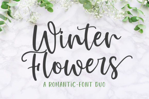 Winter Flowers: A Sophisticated Script Font for Branding